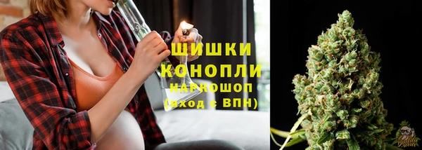 PSILOCYBIN Остров