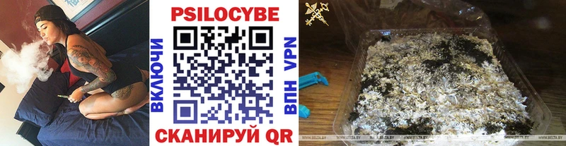 Псилоцибиновые грибы Magic Shrooms  Купить где  Ясногорск 